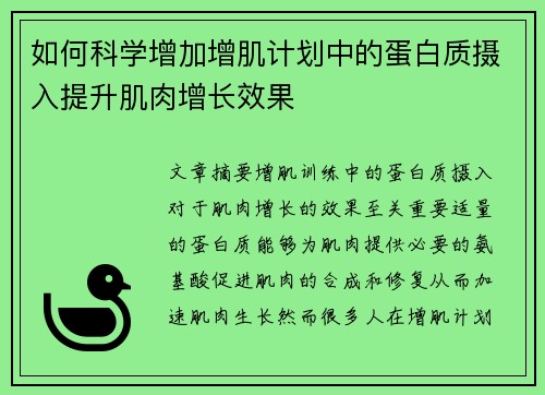 如何科学增加增肌计划中的蛋白质摄入提升肌肉增长效果
